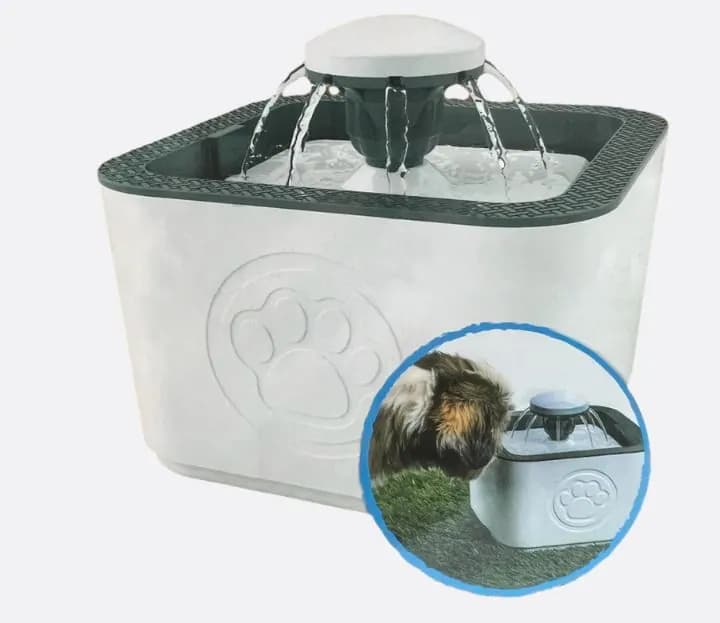 Water Fountain For Dogs And Cats