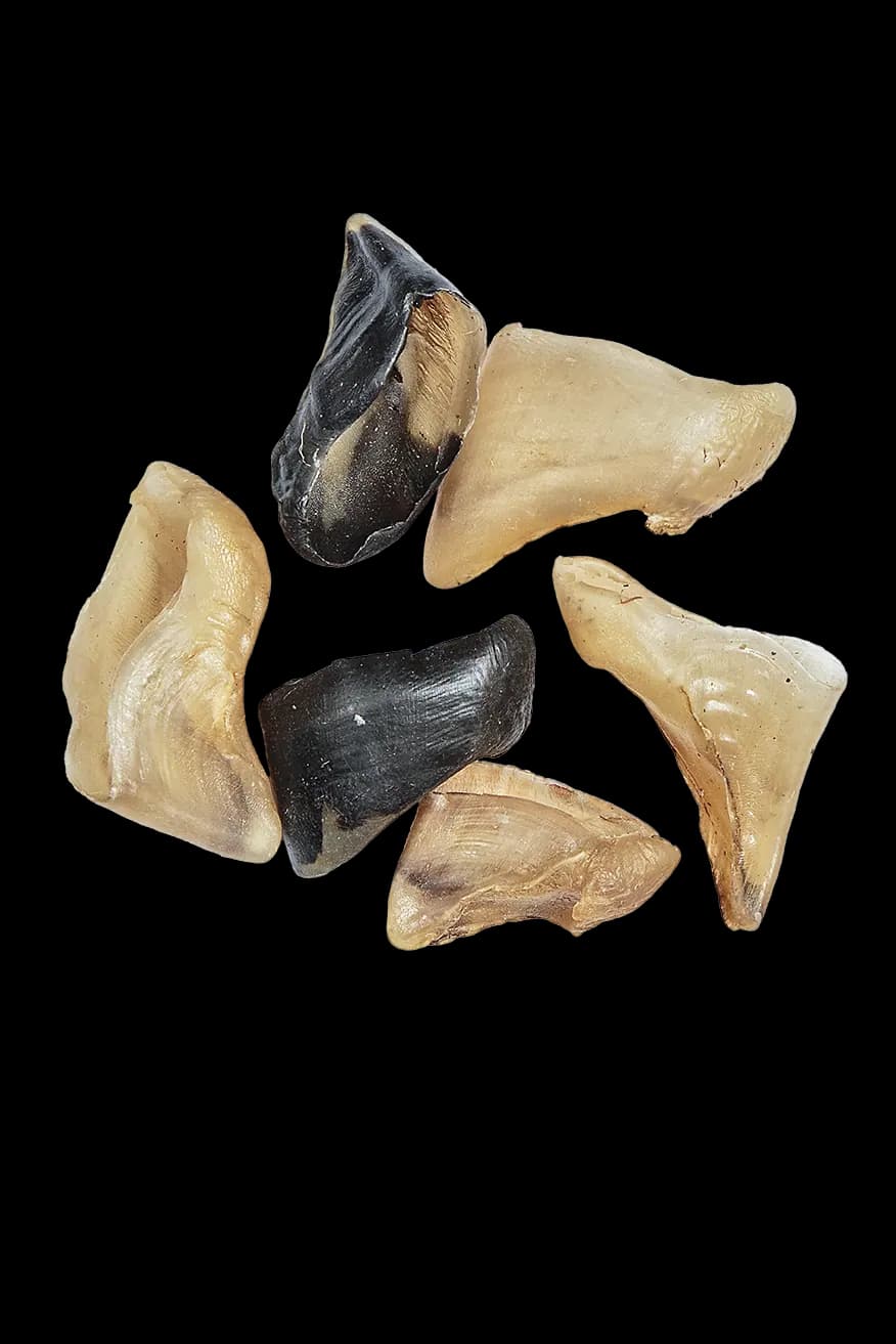 Natural Small Lamb Hooves for Dogs | 100% Single-Ingredient Slow Cured Grain-Free Dental Chew | Long-Lasting High-Protein Snack & Boredom Buster for Small Breeds