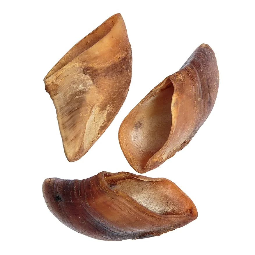 Natural Smoked Beef Hooves for Dogs | 100% Single-Ingredient Slow Cured Grain-Free Dental Chew | Long-Lasting High-Protein Snack & Boredom Buster for Heavy Chewers