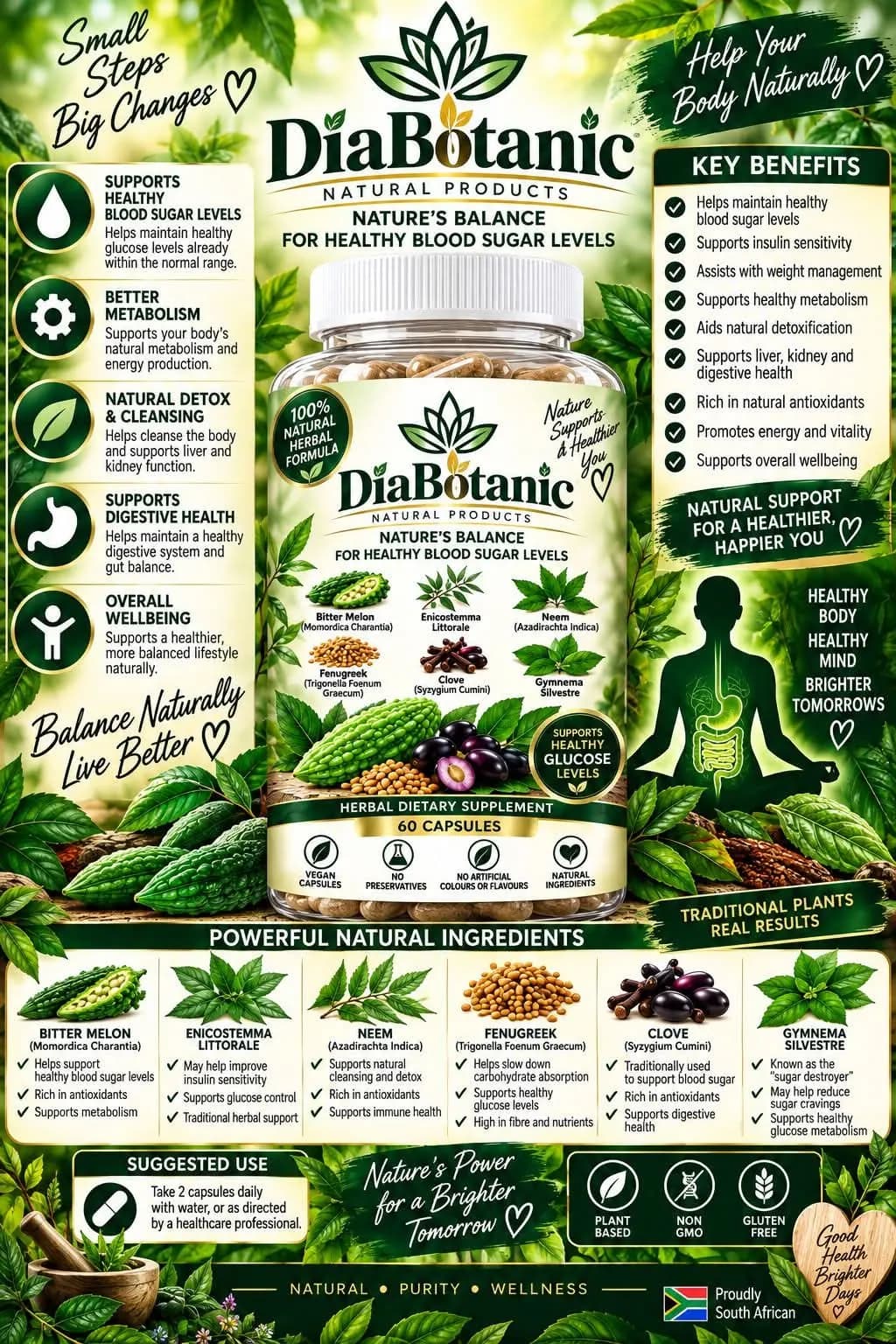 Healing Moon Diabotanic Supplement (60capsules)