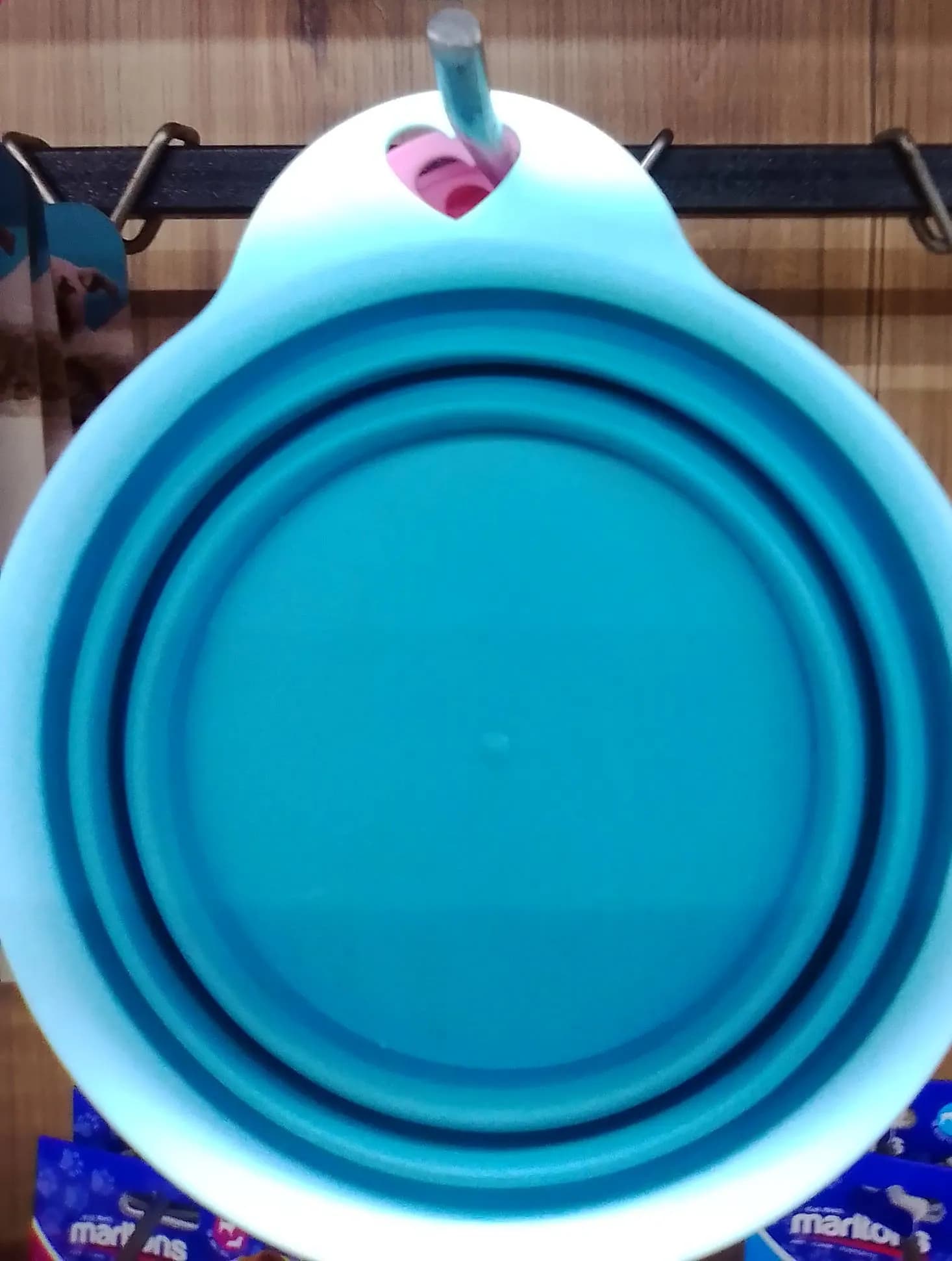 Foldable Bowl
