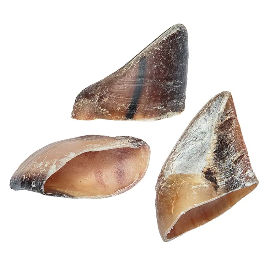 Natural Beef Cow Hooves for Dogs | 100% Single-Ingredient Slow Cured Grain-Free Dental Chew | Long-Lasting High-Protein Snack & Boredom Buster for Medium to Large Breeds